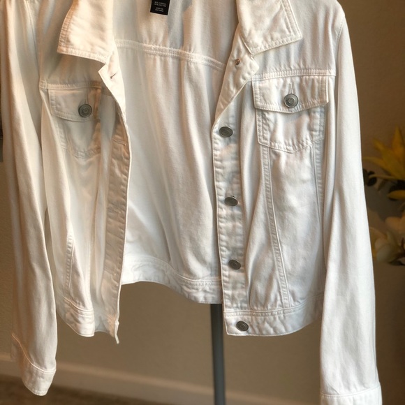 Jacket - Picture 5 of 7